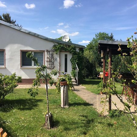 Ferienhaus An Der Selke Meisdorf Exterior photo